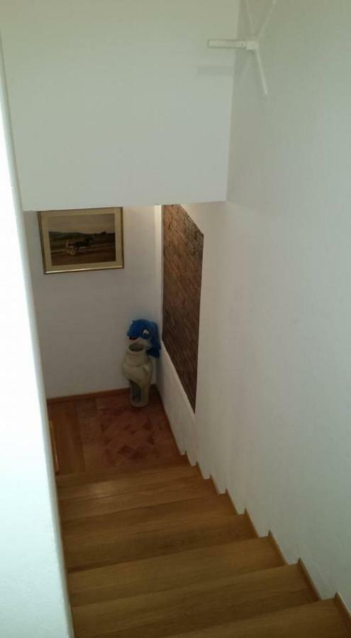 Bed and Breakfast Il Delfino A Bolonia Exterior foto